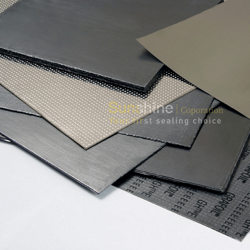 Feuille de stratifié de graphite avec les feuilles perforées Tanged SS 304